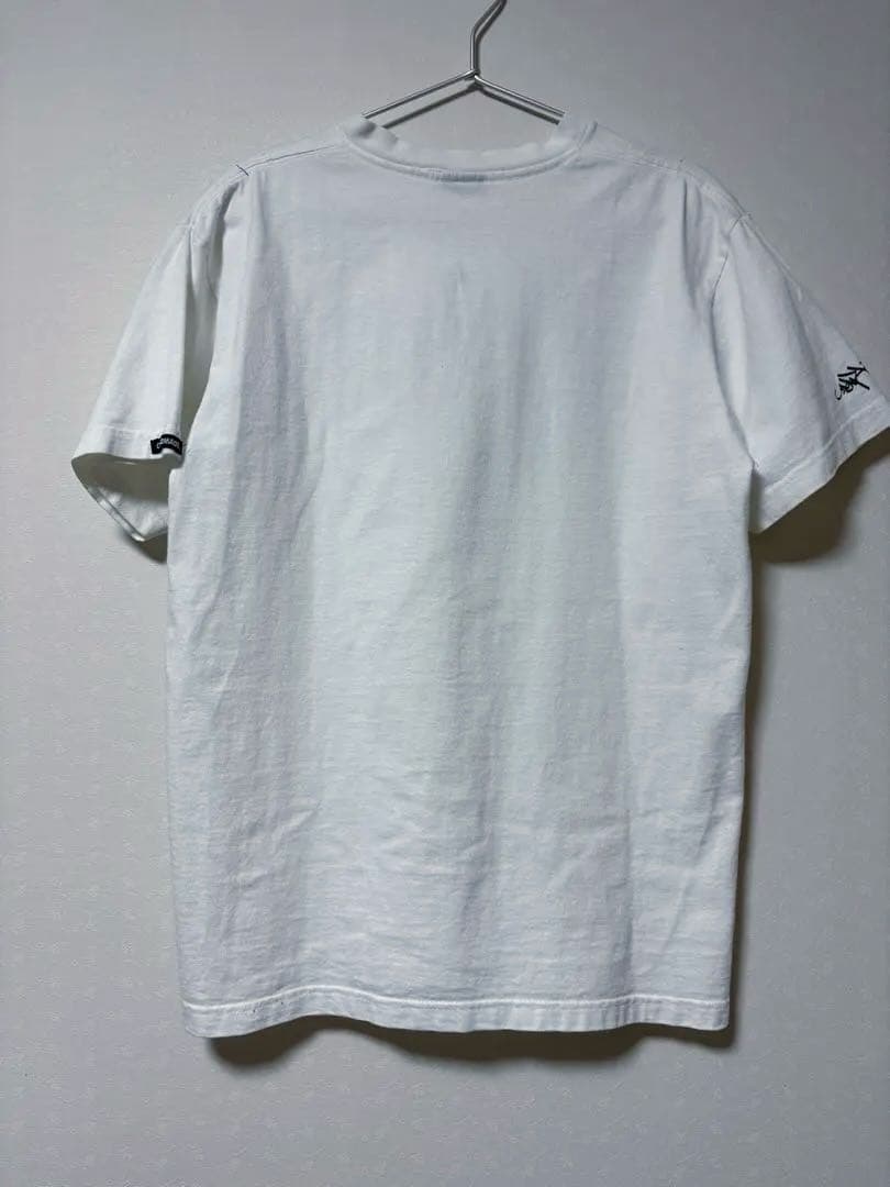【US限定希少】stussy Tシャツ DELTA