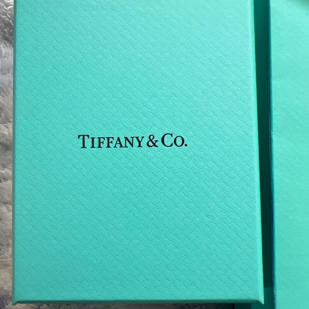 TIFFANY& CO チェーン スターリングシルバー　46cm