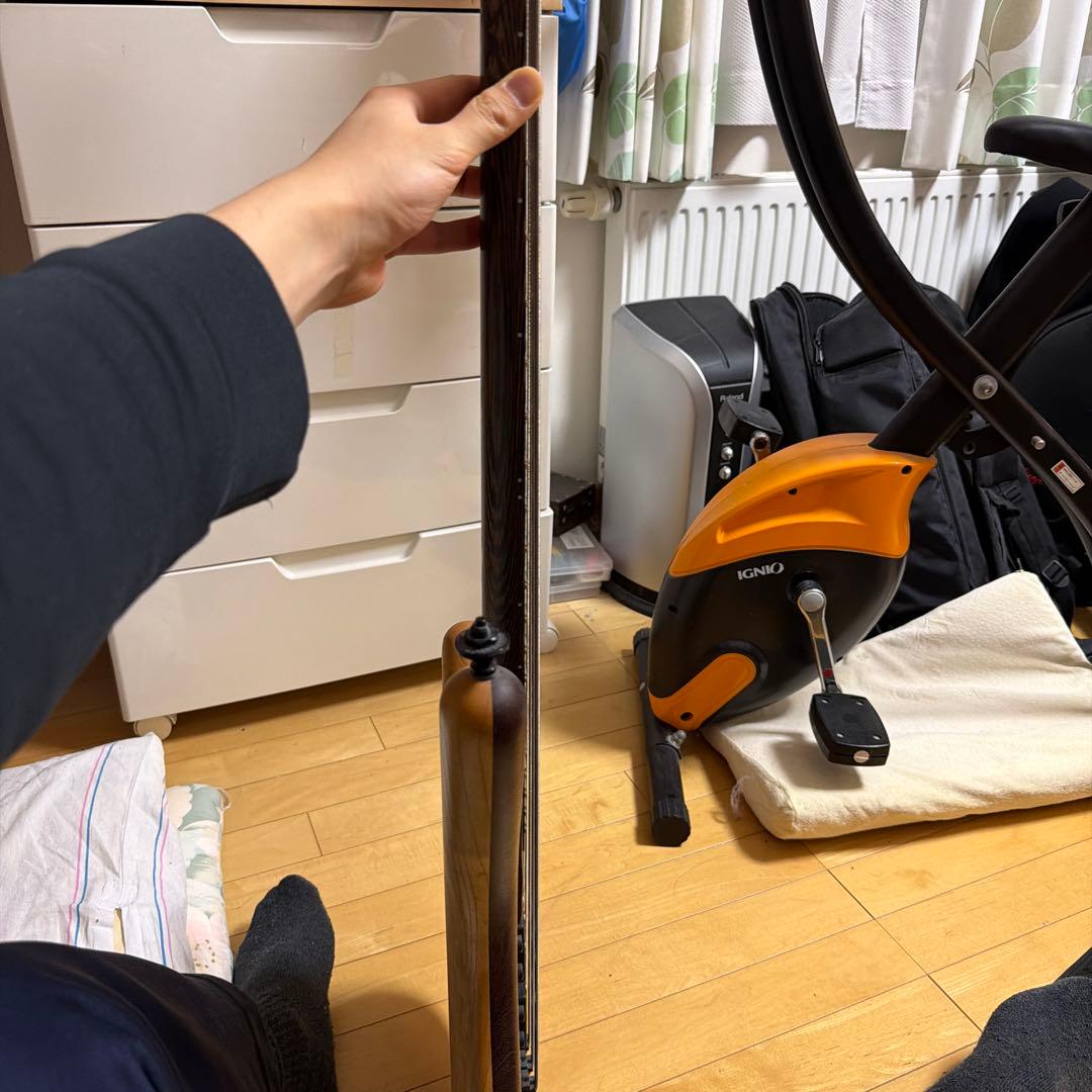 warwick custum shop corvette $$5 2018年製