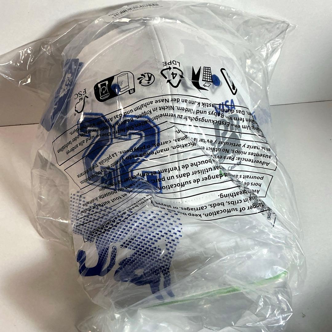 VISA Cash App RB 角田裕毅 ドライバーキャップ 2025年　新品