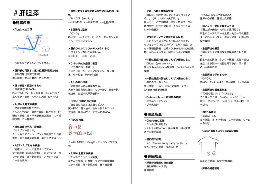 医師国家試験 CBT 語呂まとめ