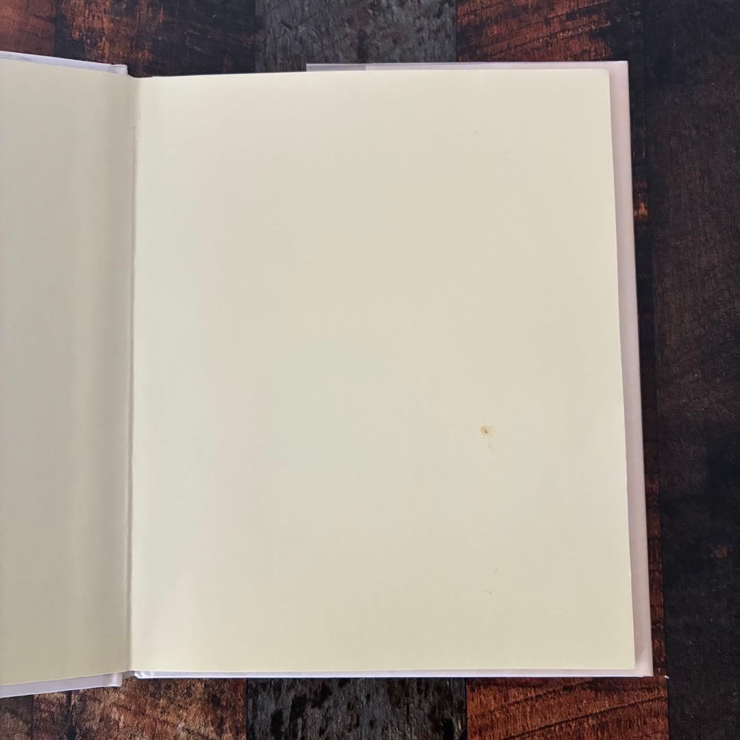 【目立った傷や汚れなし】SPRING STORY　ジル・バークレム　洋書　絵本