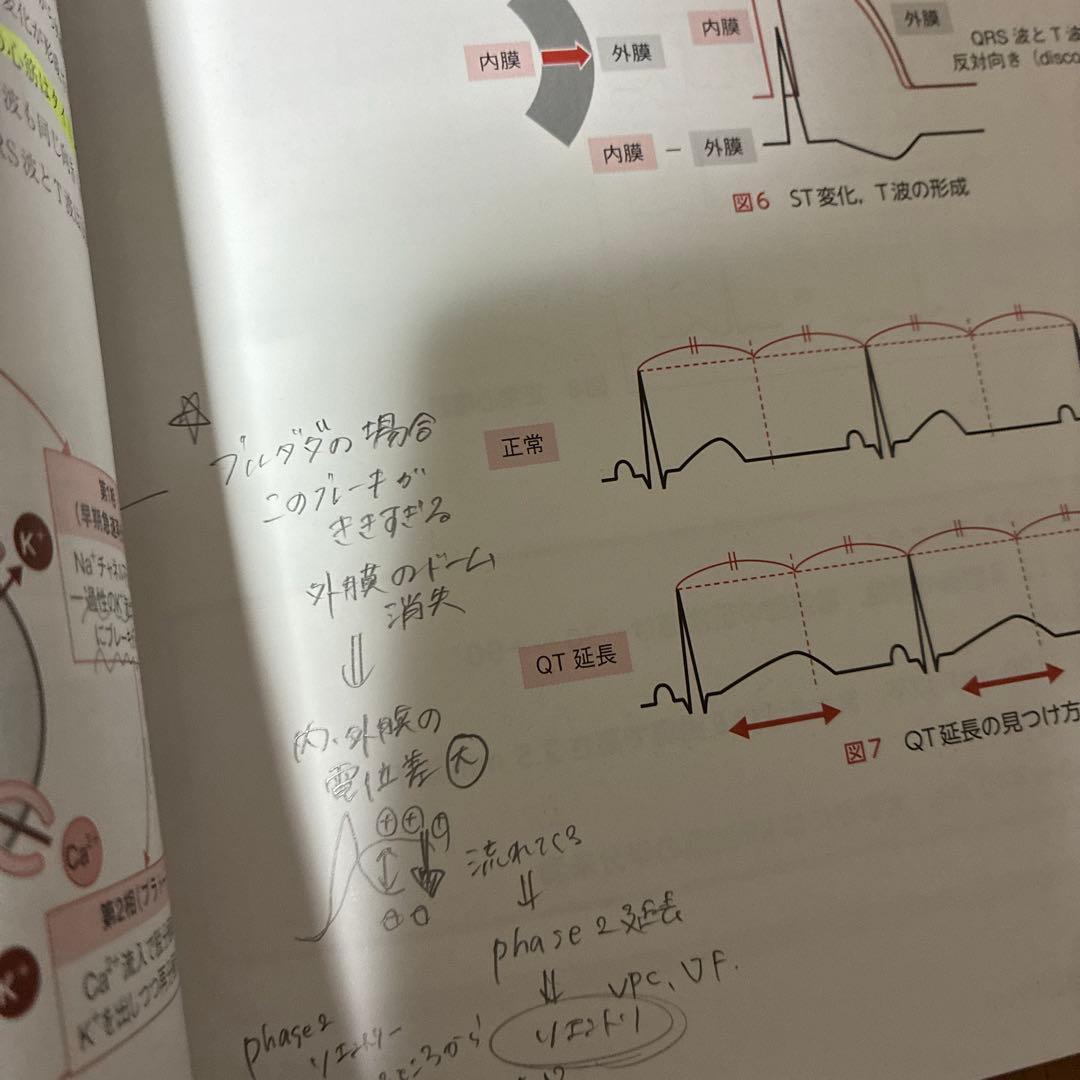 【専用】心電図完全攻略マニュアル マイスターが教える1・2級合格への最強メソッド