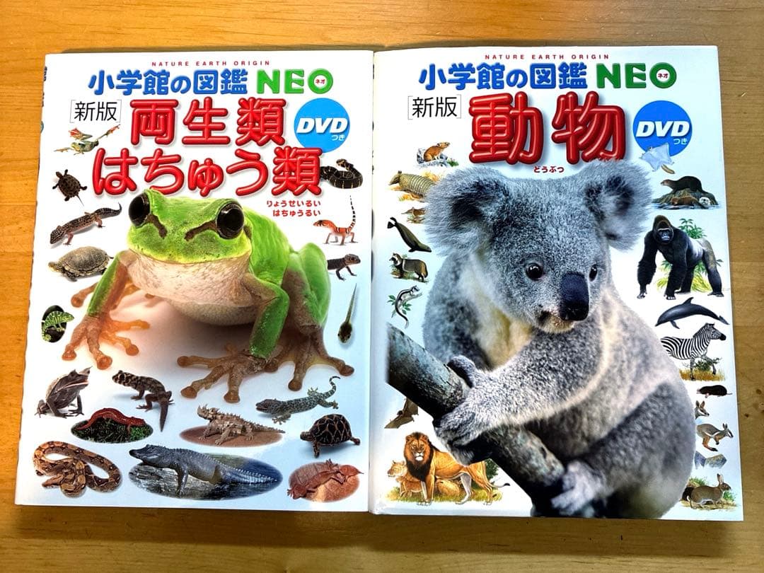 小学館の図鑑　NEO 他　10冊セット