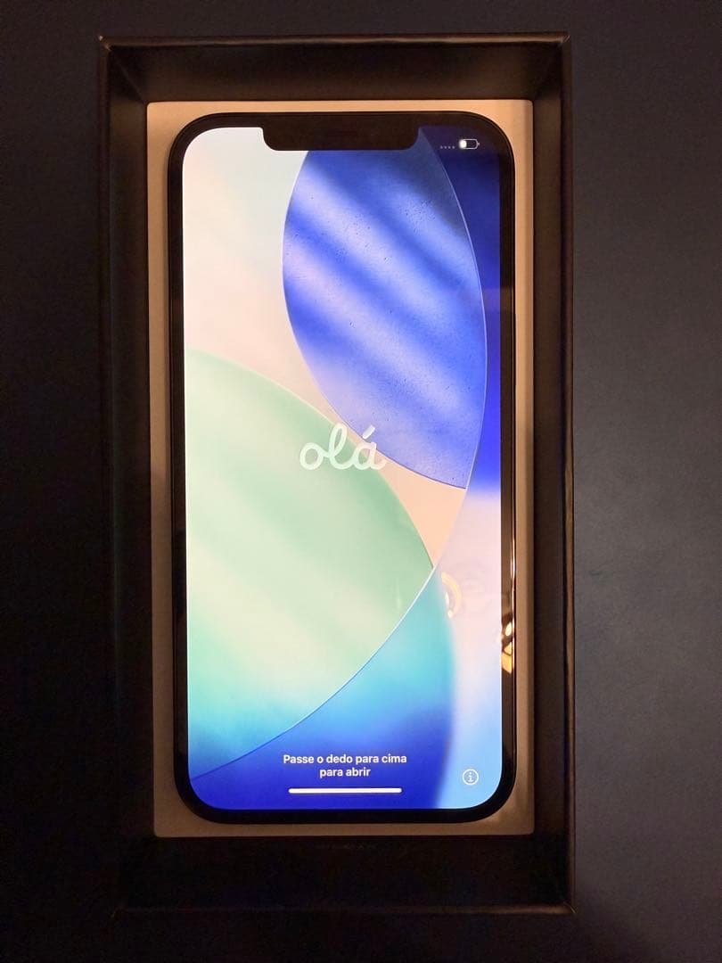 iPhone 12 Pro Max パシフィックブルー 256GB