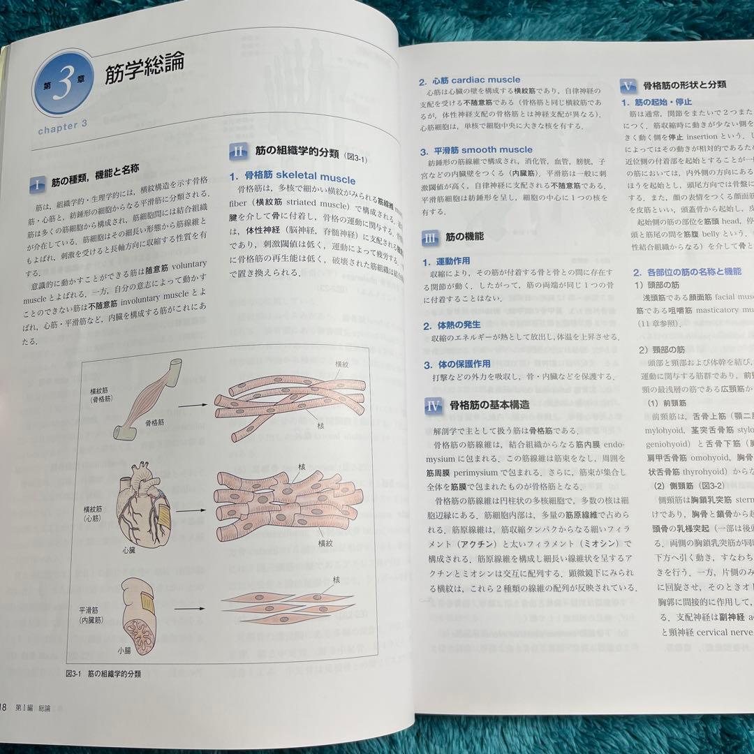 口腔解剖学　第2版　医歯薬出版　歯学部
