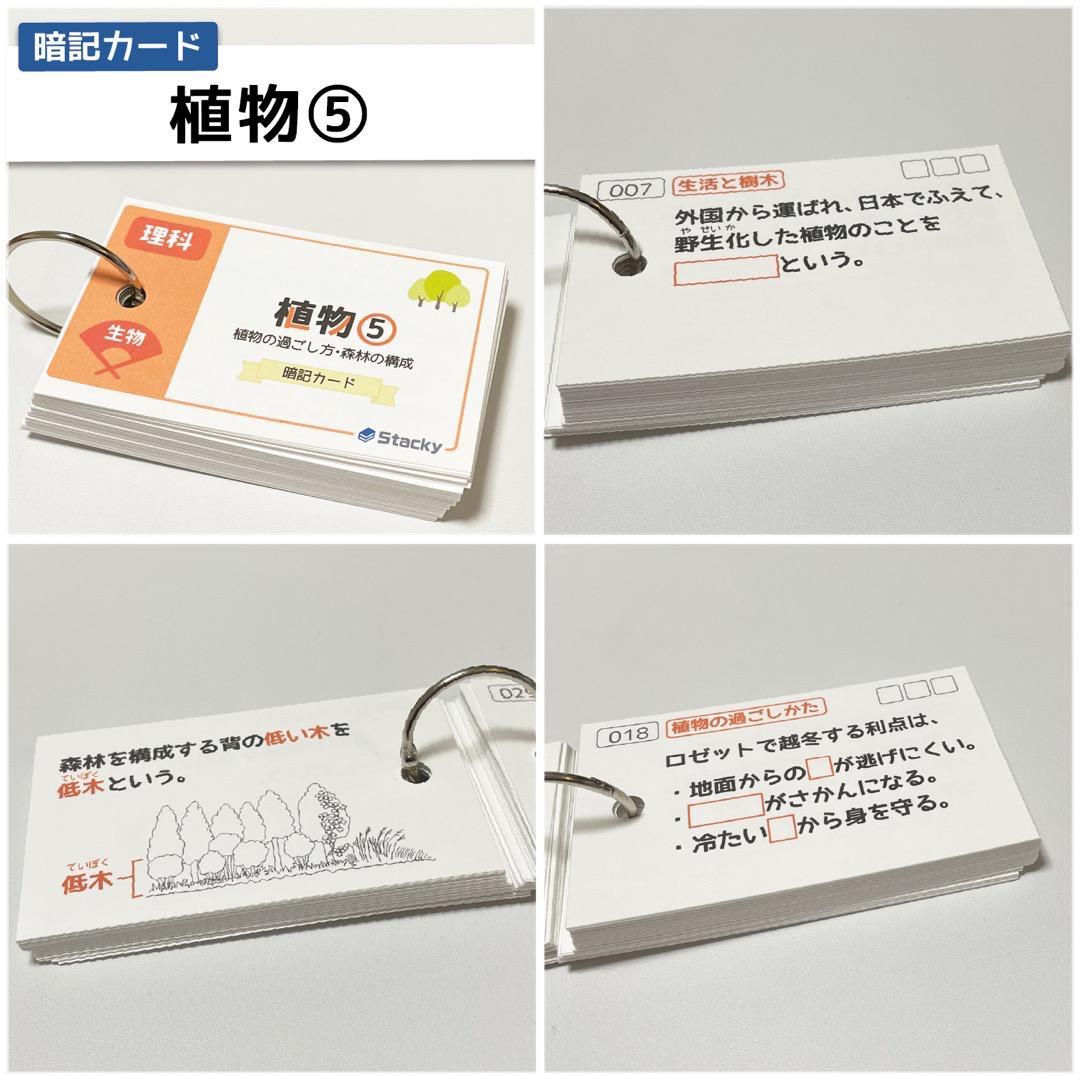 中学受験 国語＆理科 暗記カード【MX028】