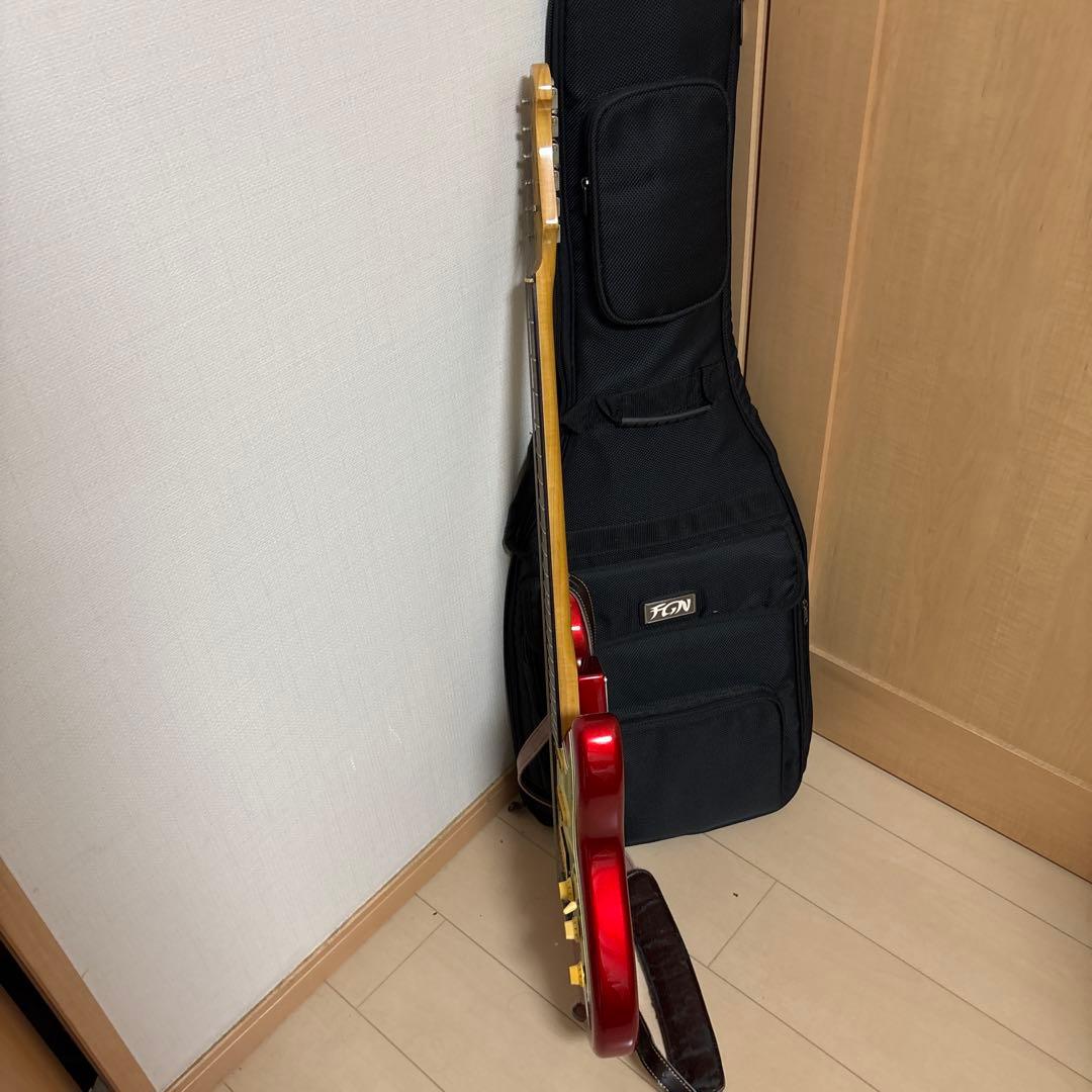 メ*ー様 fujigen FGN フジゲン エレキギター ピック×8 ケース備品