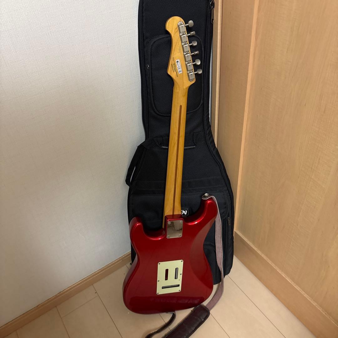 メ*ー様 fujigen FGN フジゲン エレキギター ピック×8 ケース備品