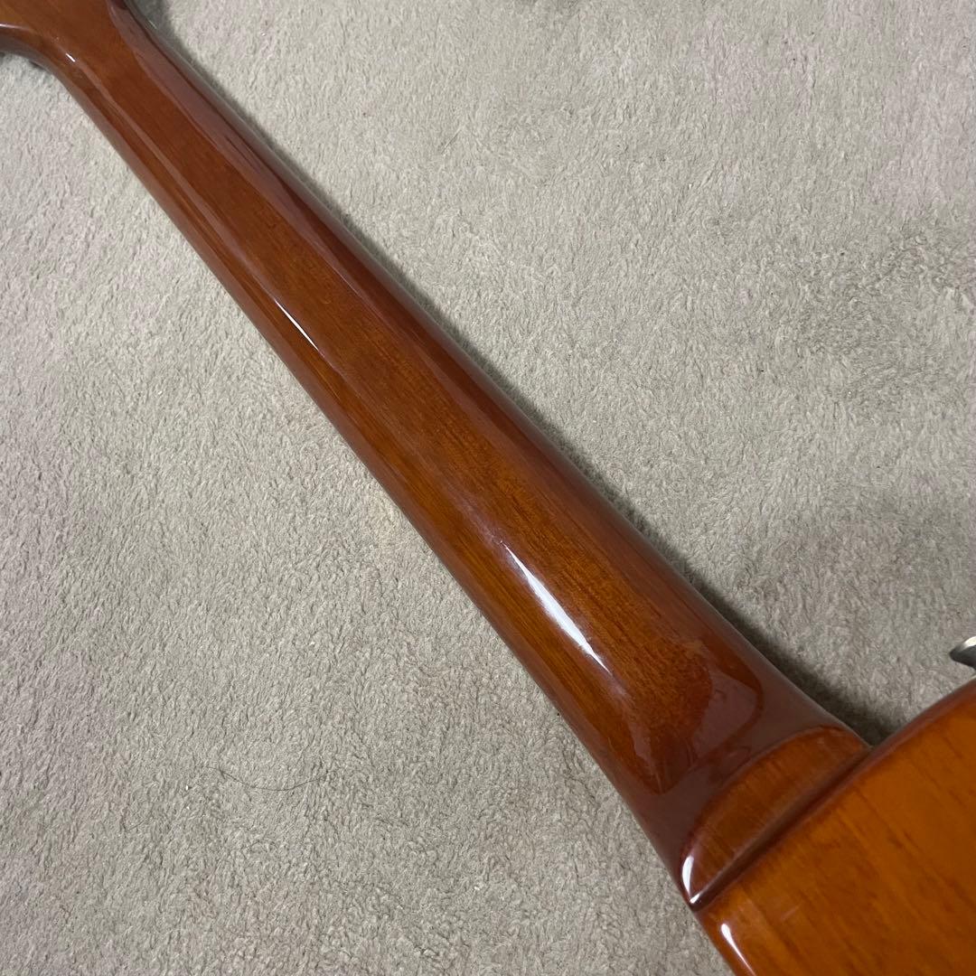 Burny レスポール トラ目 シリアルなし バーニー フェルナンデス