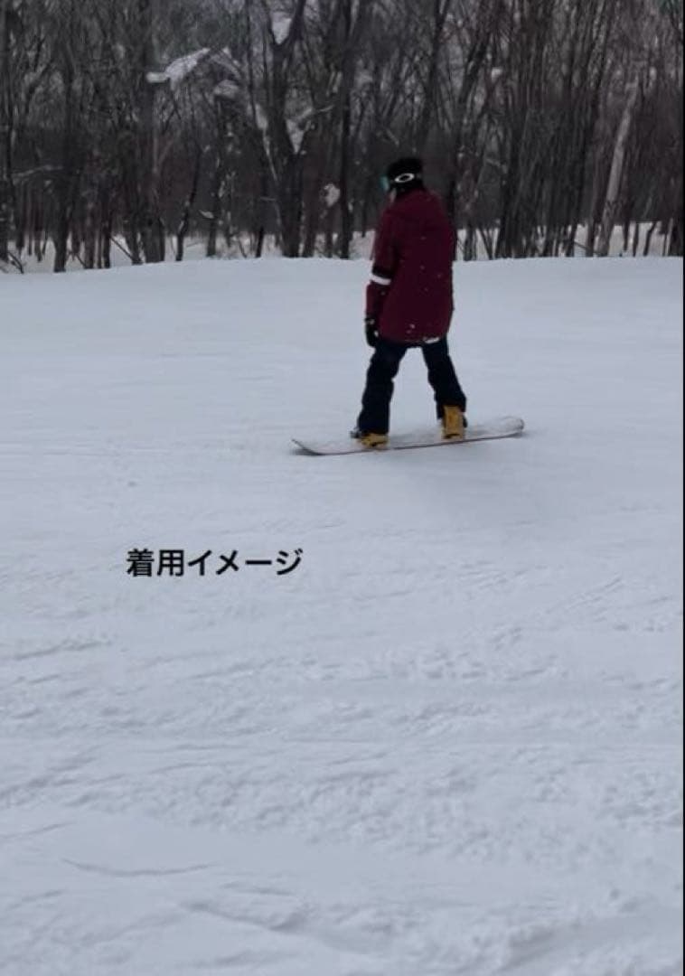PONTAPES スノーボードウェア 上下セット Mサイズ