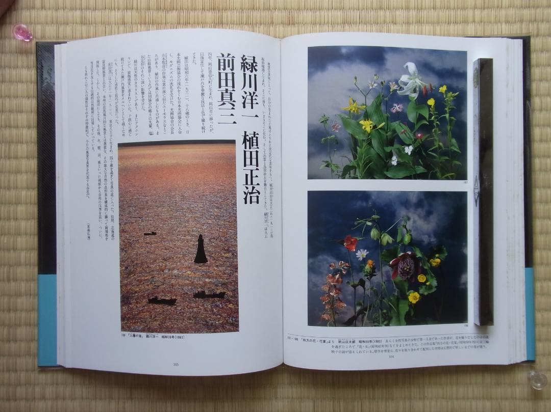 日本写真全集8 自然と風景 写真集 帯付 月報付 小学館