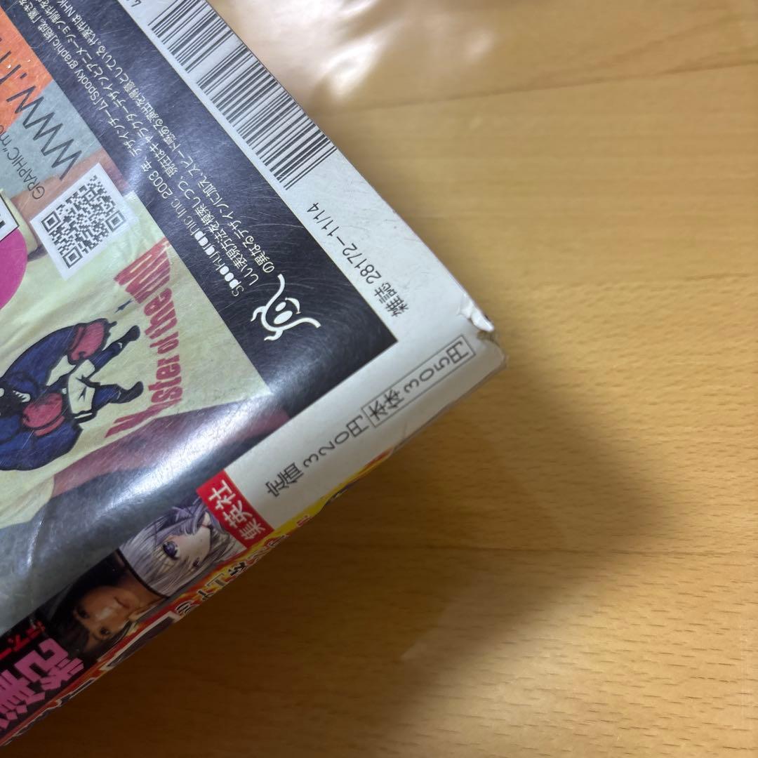 週刊ヤングジャンプ　2013年　No.48号