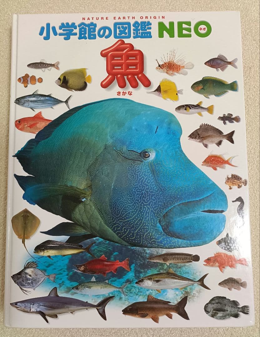 小学館の図鑑NEO 12冊+21世紀こども百科1冊 全13冊セット