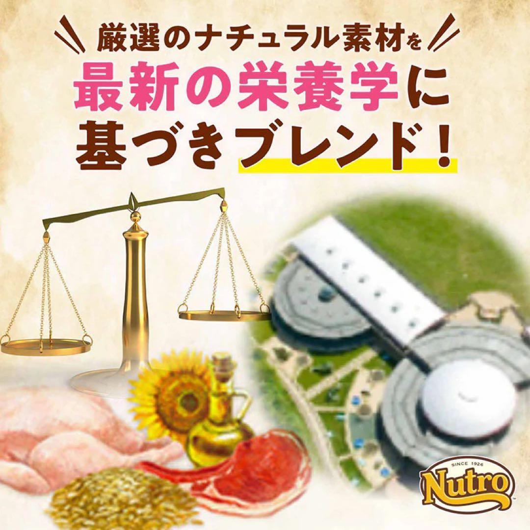 Nutro ナチュラル チョイス 子犬用 大型犬15キロ　妊娠・授乳中の母犬にも
