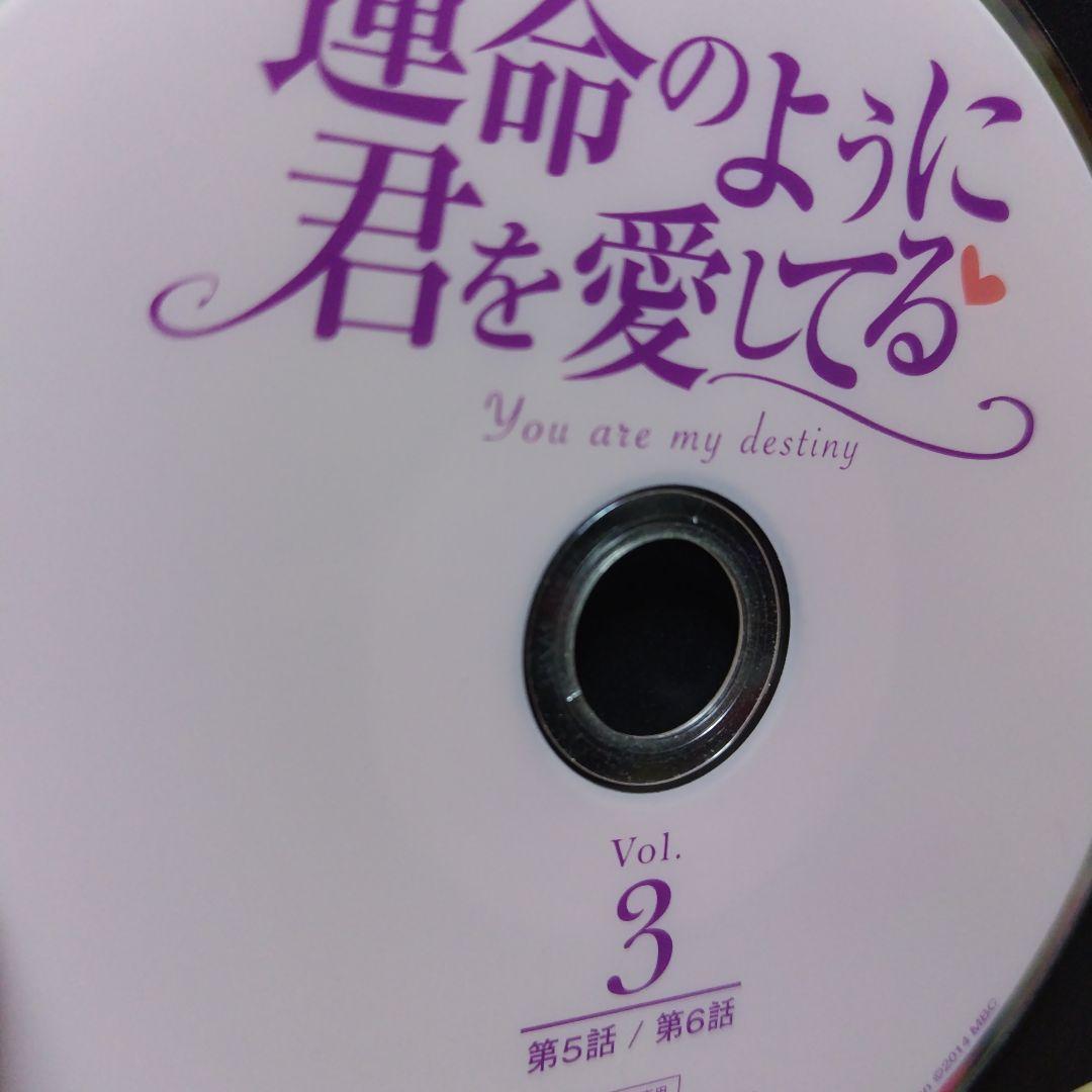 運命のように君を愛してる　全10巻　DVD　韓国　チャン・ヒョク　チャン・ナラ
