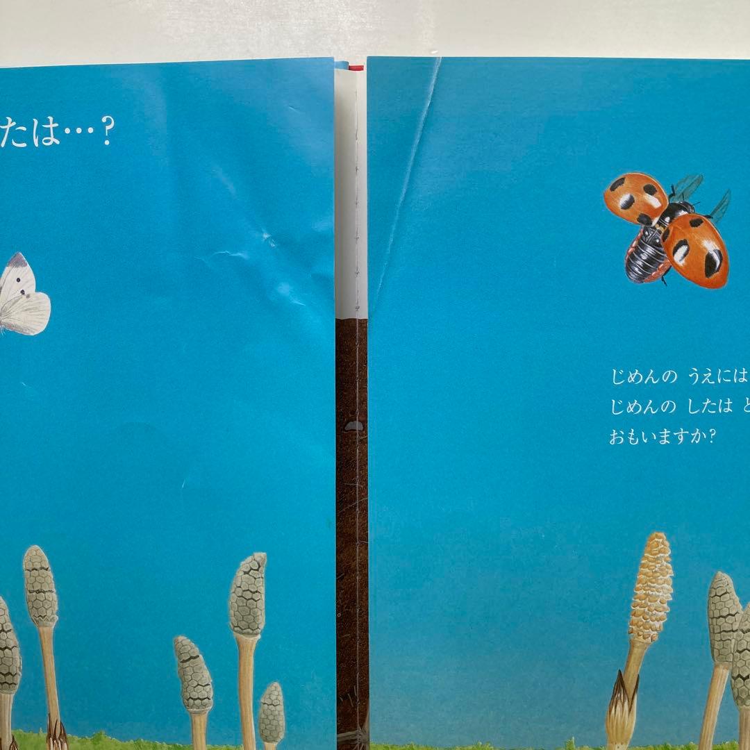 【キンダーブック】しぜん　22冊セット　絵本　フレーベル館