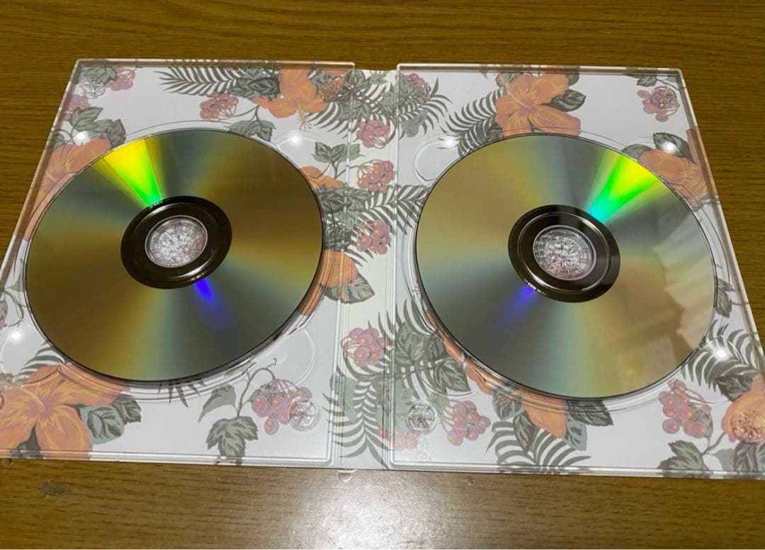 稲村ジェーン／DVD