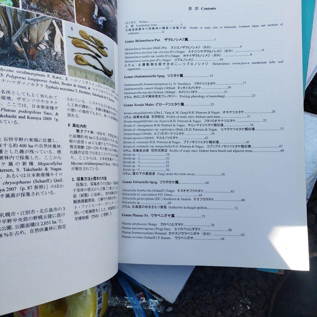 北海道産ハラタケ類の分類学的研究 2010年 145＋13P HC