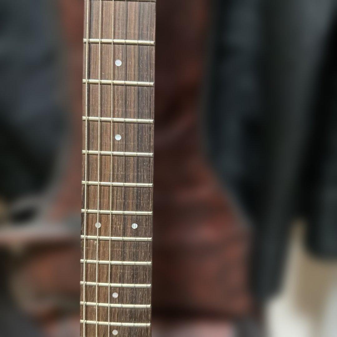FERNANDES パープル エレキギター ムラサキ 楽器