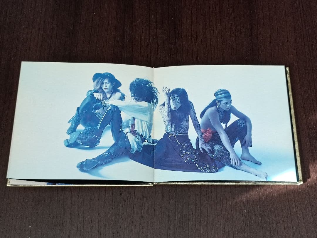 【廃盤・入手困難品あり】GARGOYLE コレクターズCD6枚セット【おまけ付】
