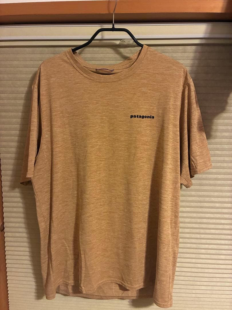 patagonia Capilene Cool Daily Tシャツ