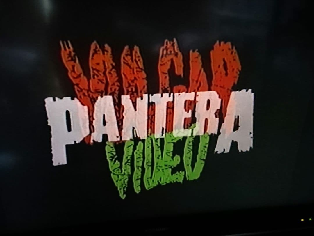 【PANTERA VULGAR VIDEO 極悪】VHSビデオ パンテラ