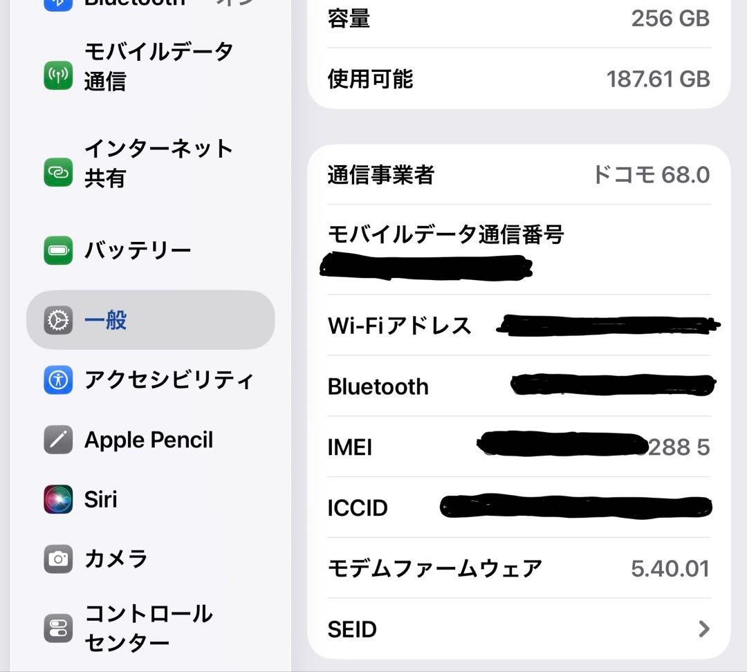 iPad mini6 256GB セルラー ※eSIM不可・角傷あり