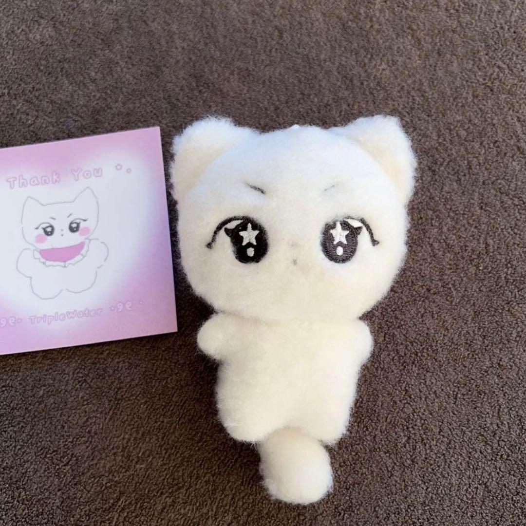 enhypen ジョンウォン　ぬいぐるみ　10cm 新品　マスター