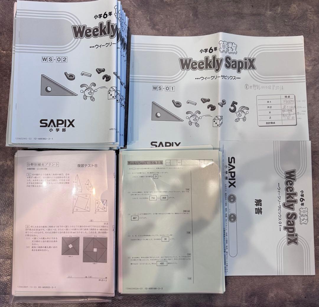 user_d5547334 ⭐︎最新版フルセット① SAPIXサピックス6年