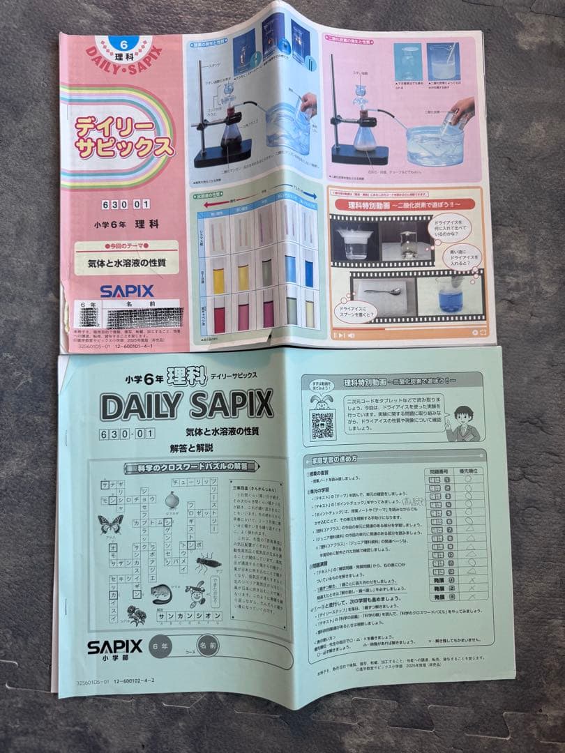 user_d5547334 ⭐︎最新版フルセット① SAPIXサピックス6年