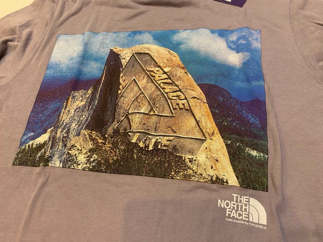 【THE North Face×PALACE】Tシャツ　Mサイズ