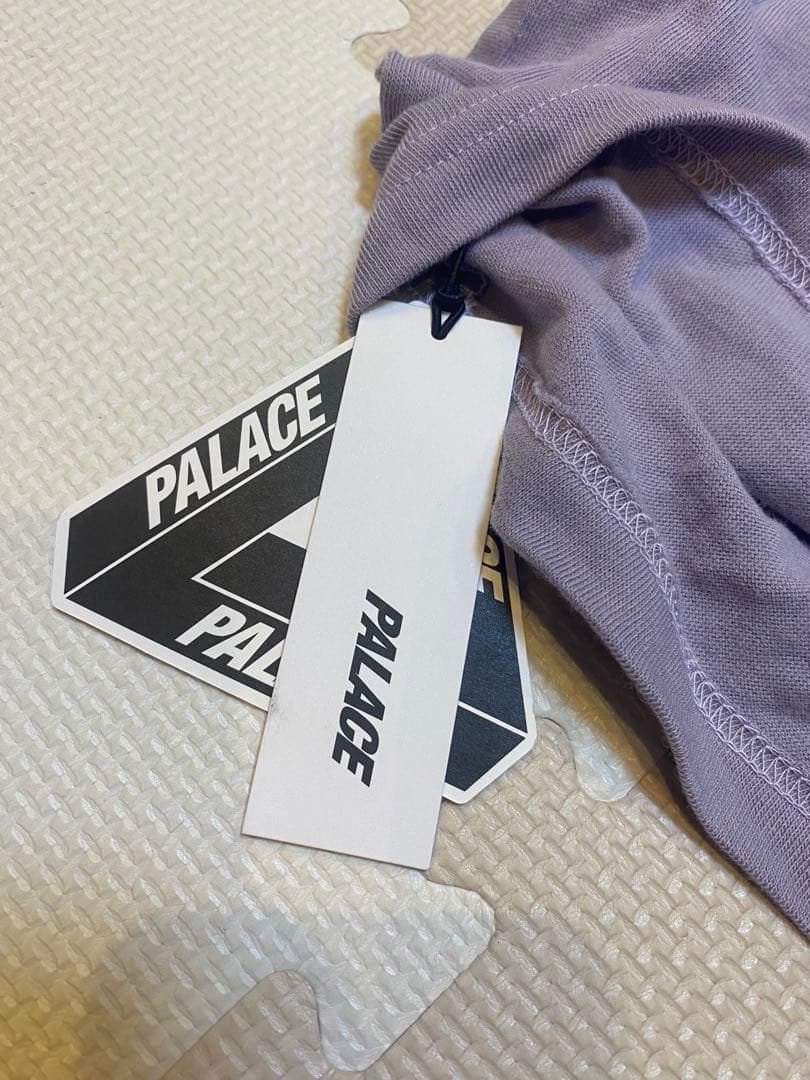 【THE North Face×PALACE】Tシャツ　Mサイズ