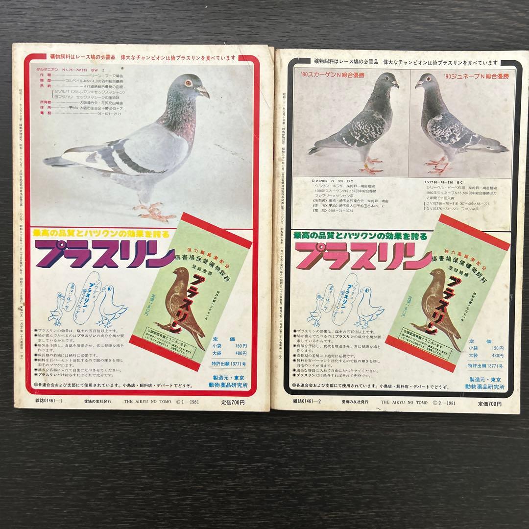 愛鳩の友　1981年1.2.5.6.8.9.10.11月