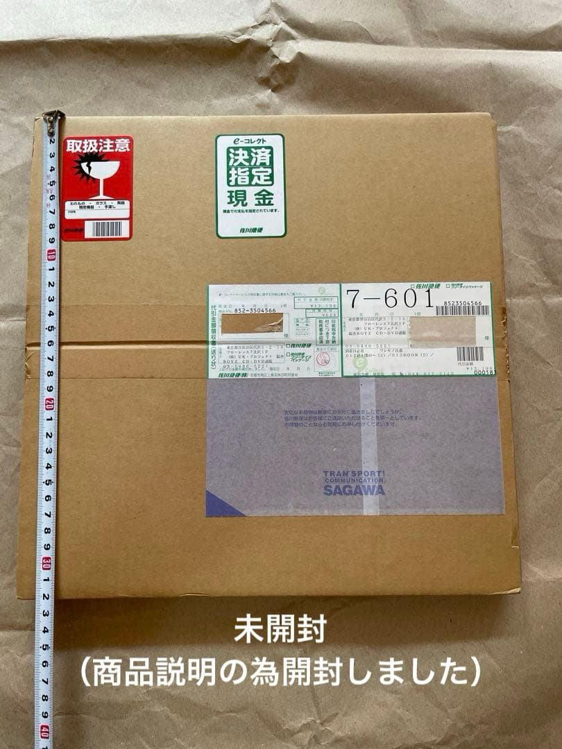 【初回プレス】銀杏BOYZ LP レコード