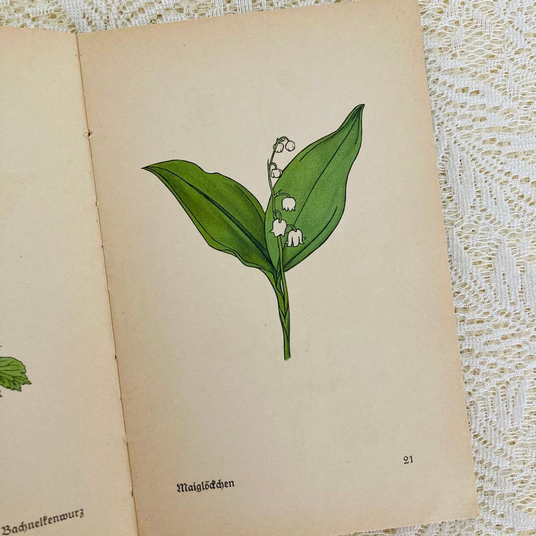 洋書　古書　インゼル文庫 No.269 & 281　小さな植物図鑑2冊セット♪