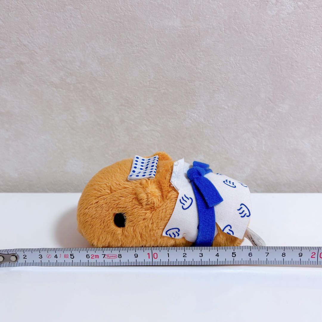 【レア品】カピバラさんぬいぐるみ〜ゆず温泉バージョン〜7点 セット