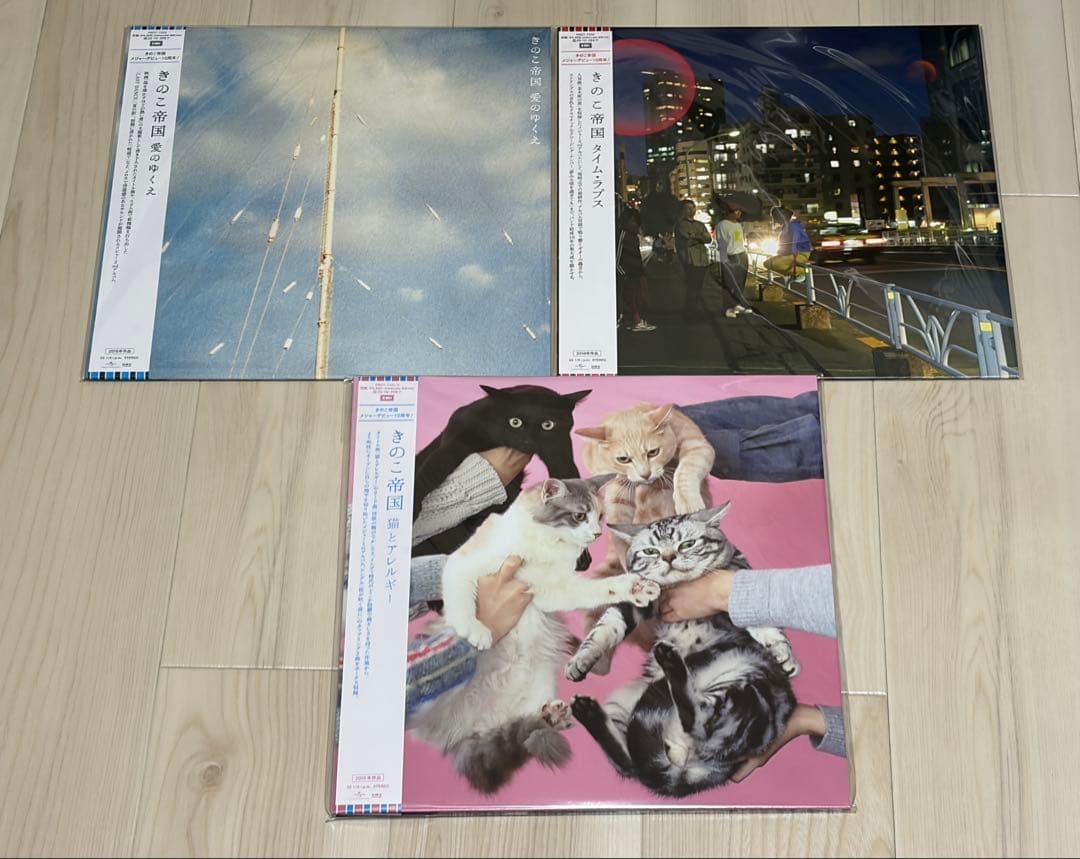 【新品未開封】きのこ帝国 アナログレコード 3枚セット（完全限定生産）　特典付き