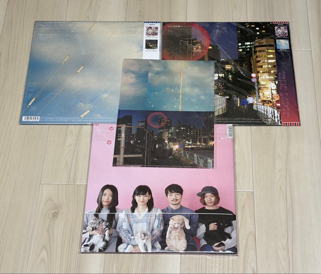 【新品未開封】きのこ帝国 アナログレコード 3枚セット（完全限定生産）　特典付き