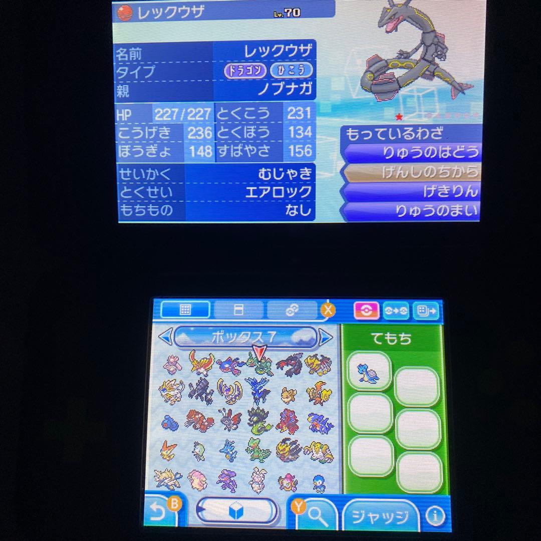 シ*佐様 配布ポケモン多数所持　ポケットモンスター サン