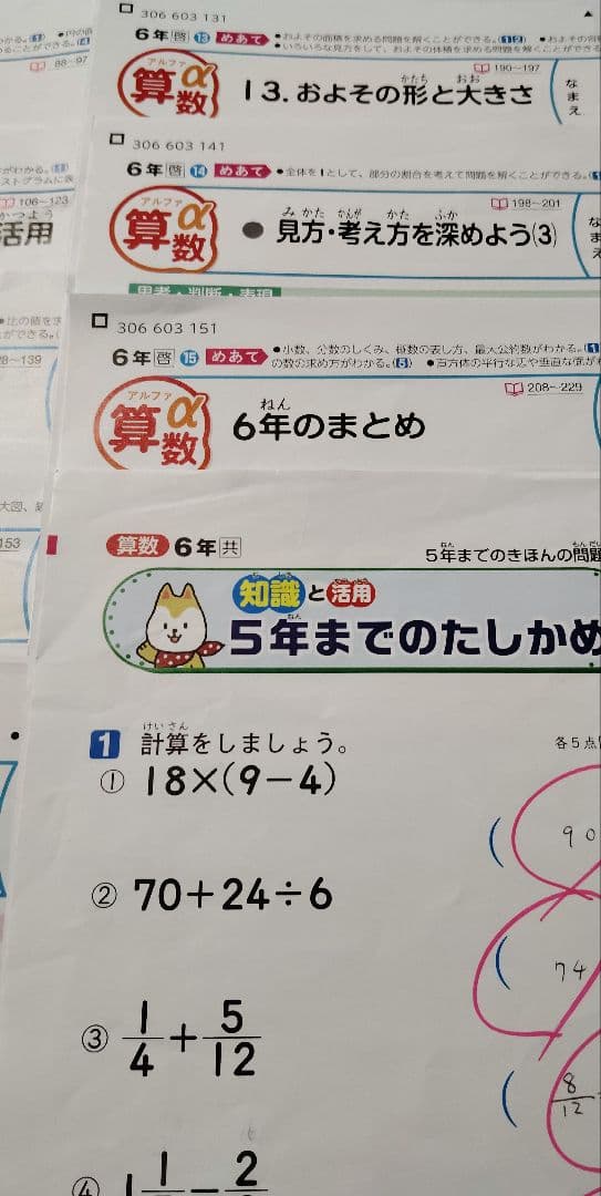 最新版　カラーテスト　漢字テスト社会　小6　新学社　令和6年度　啓林館