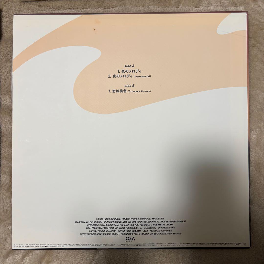 SUNNY DAY SERVICE /サニーデイ・サービス LPレコードまとめ売