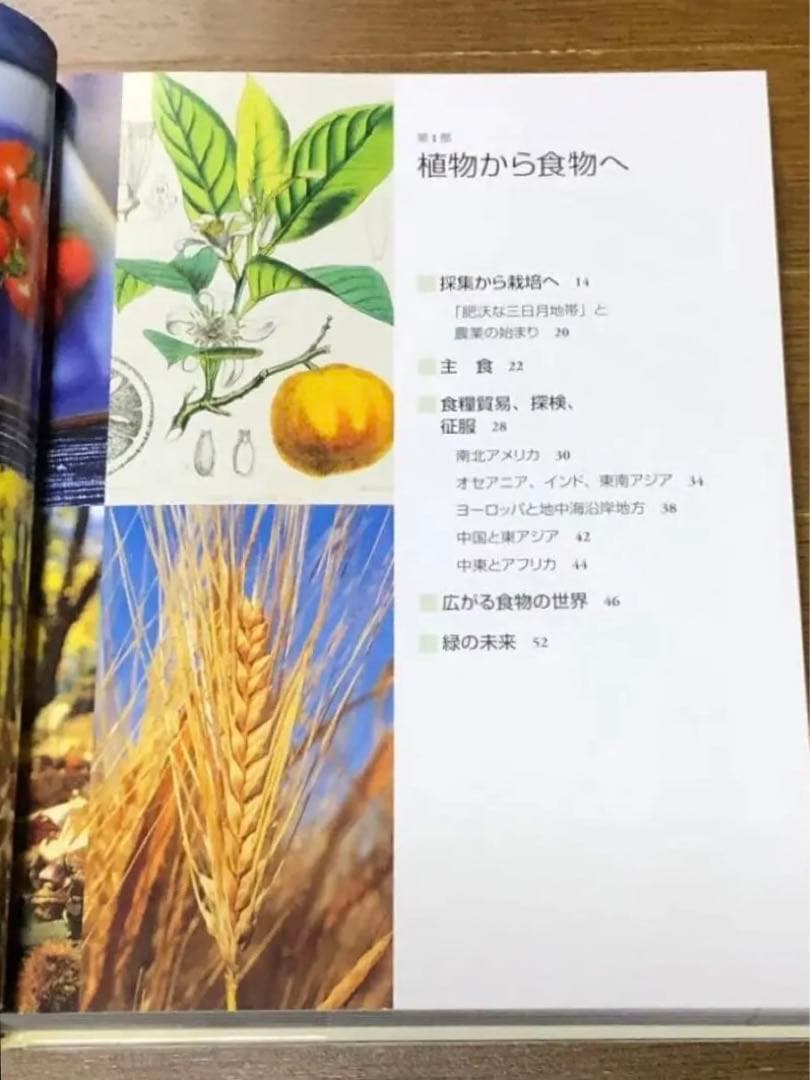 ★ 希少　世界の食用植物文化図鑑