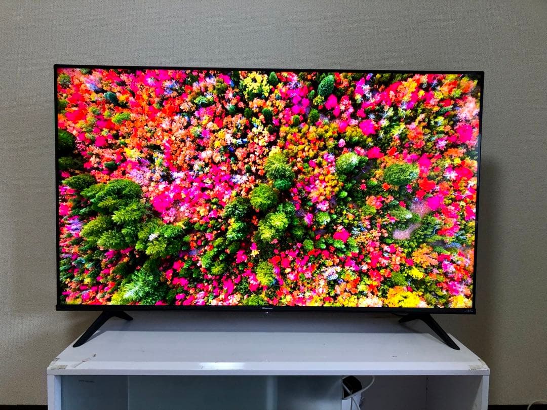 ハイセンス 50V型 4K液晶テレビ50E65G 2022年製