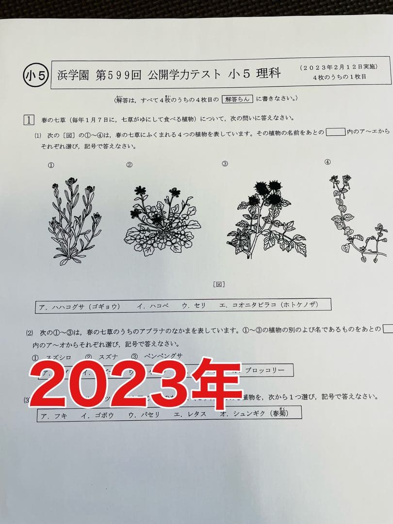 浜学園　小5　2021年〜2023年度　 3年分　4科目　公開学力テストx