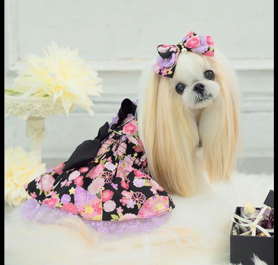 犬服 きゃんナナ　和ロリ　バレッタフルセット　Mサイズ