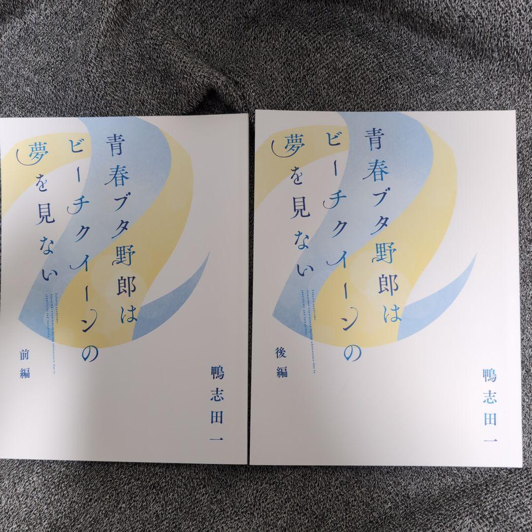 青ブタ　特典小説　アクリルプレート付き