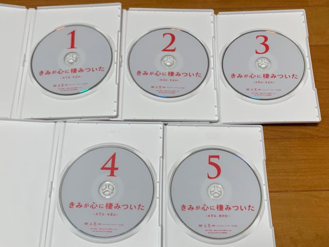 【送料無料】きみが心に棲みついた DVD全5巻セット 吉岡里帆 桐谷健太 向井理