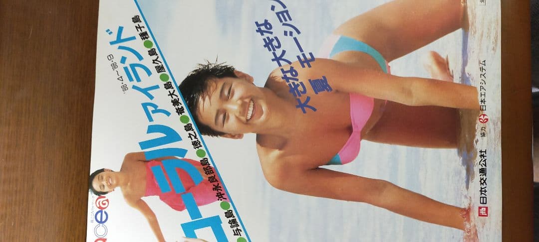 西田ひかる88年jasパンフレット
