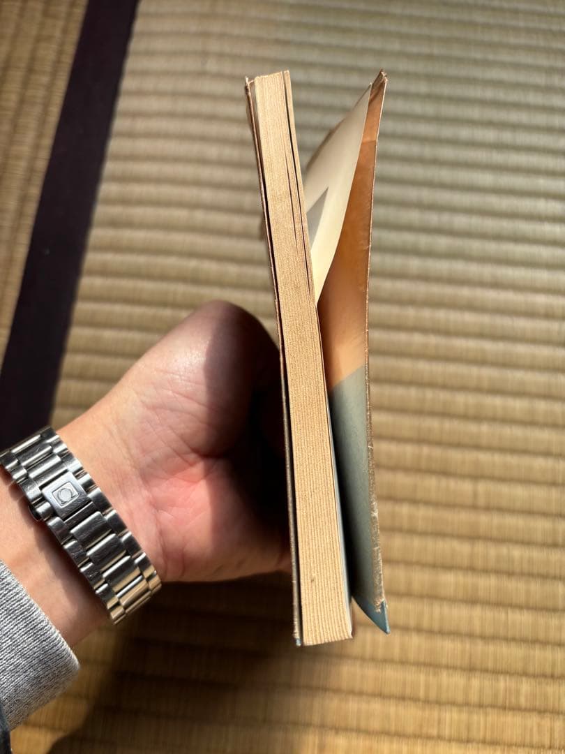 抽象と感情移入: 東洋芸術と西洋芸術 (岩波文庫 青 650-1)